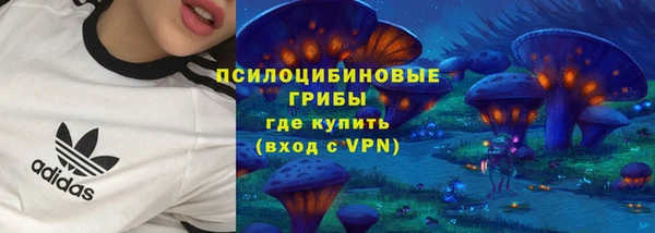 амф Беломорск