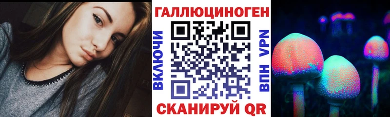 hydra ONION  Пикалёво  Галлюциногенные грибы Psilocybe 